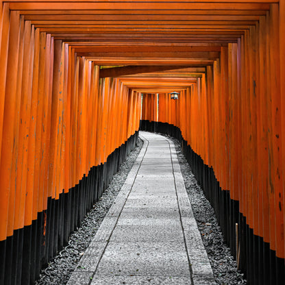 INSIDE THE TORII
