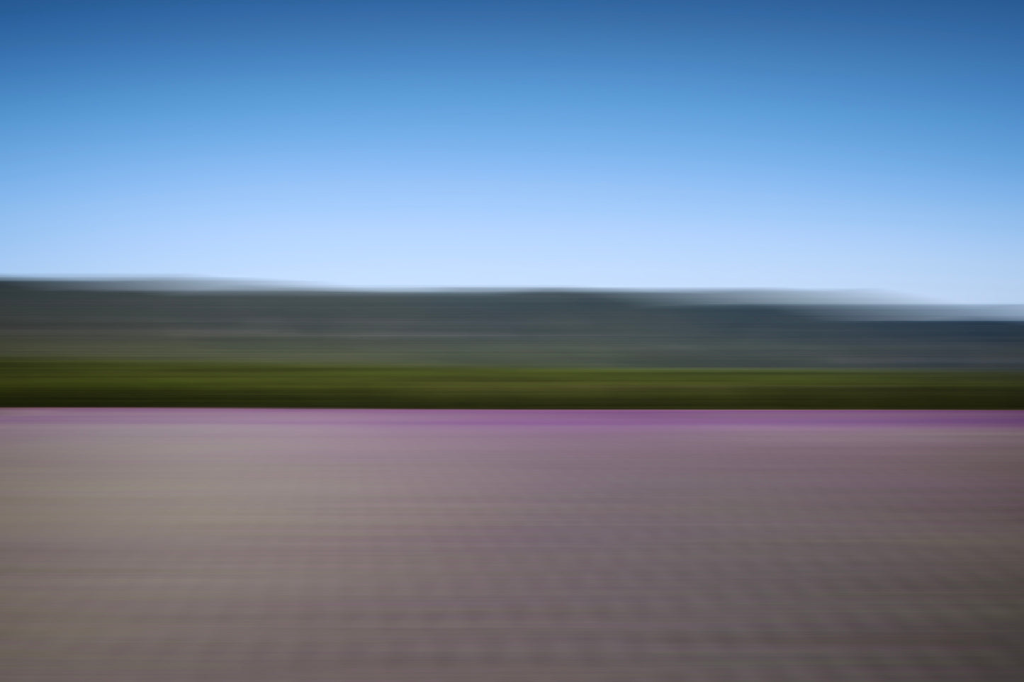 LAVANDER COLOURS XXL