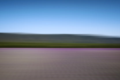 LAVANDER COLOURS XXL