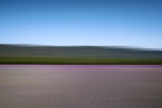 LAVANDER COLOURS XXL