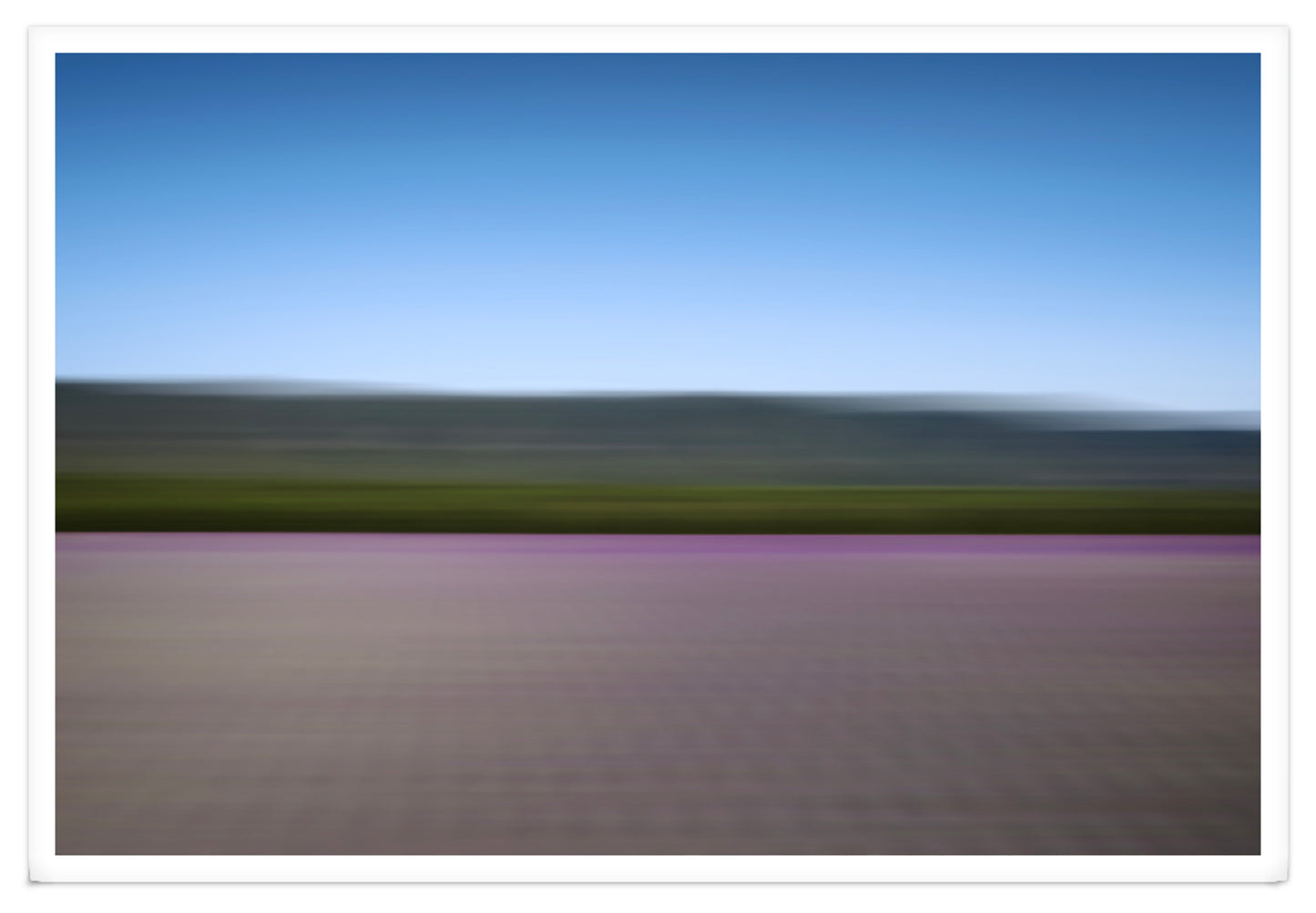 LAVANDER COLOURS XXL