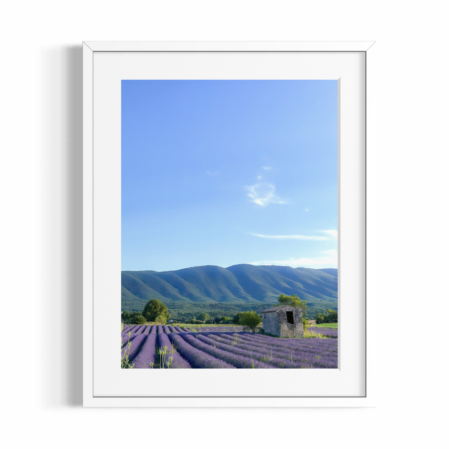 Kunstdruck – DIE FARBEN DER PROVENCE – Limitierte Auflage
