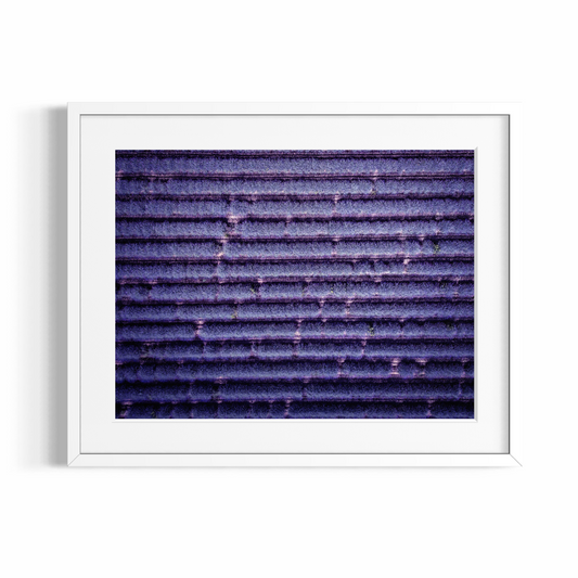 Fine Art Photographic Print - THE VIOLET NATURE - Limited Edition