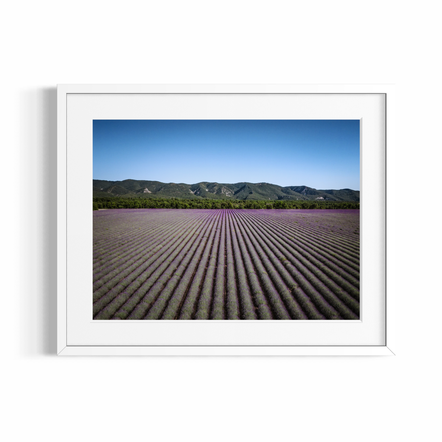 Fine Art Photographic Print - PROVENCE LANDSCAPE - Limited Edition