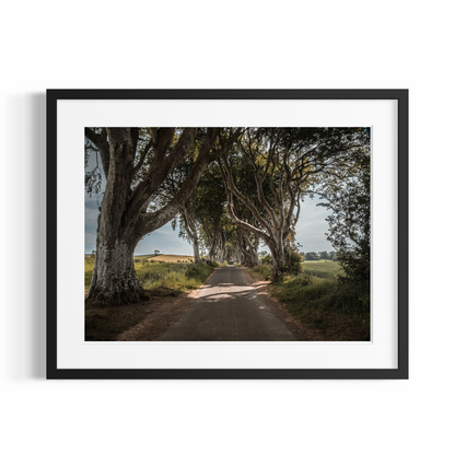 Fine Art Fotodruck – DIE FANTASTISCHEN DARK HEDGES #4 – Limitierte Auflage