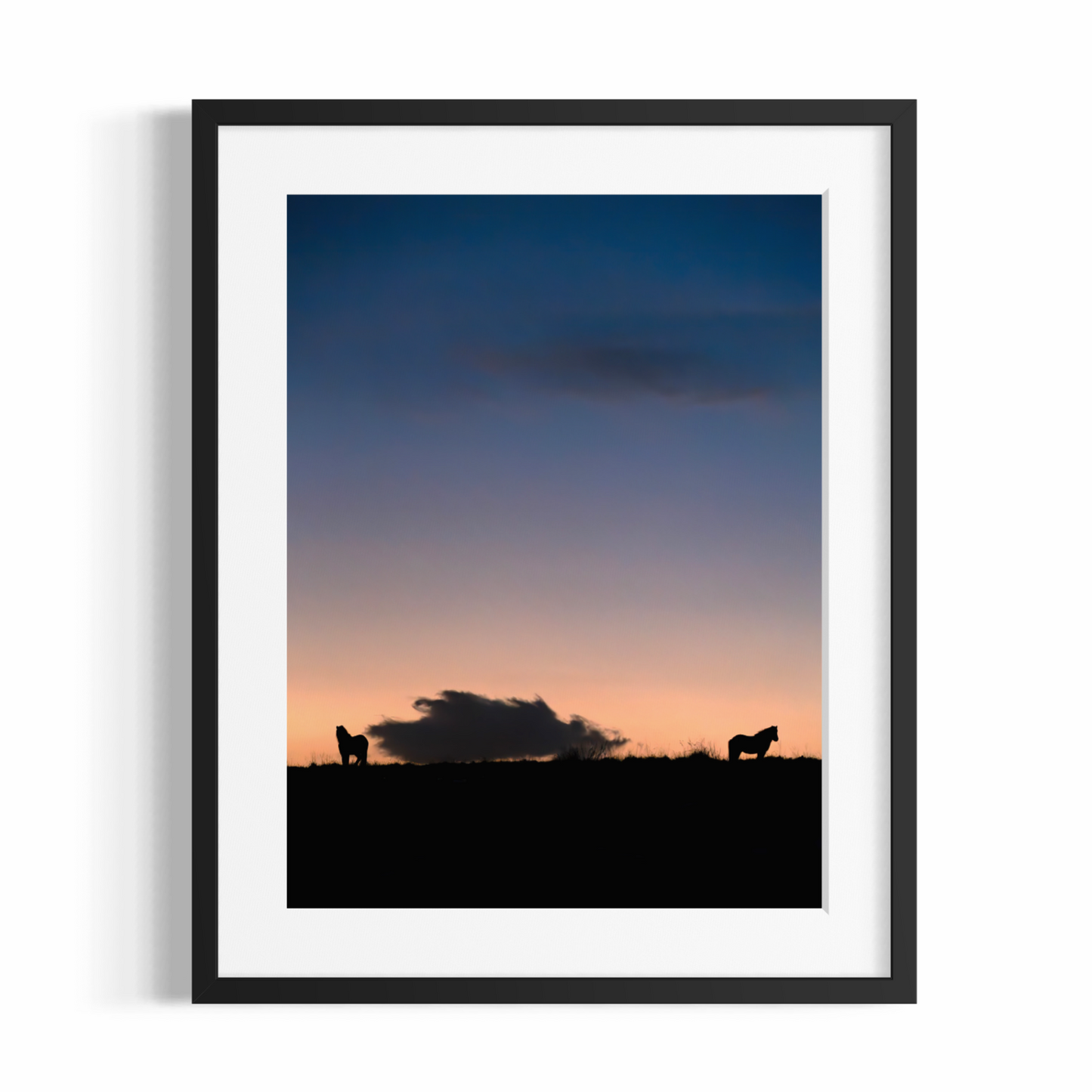Stampa Fotografica Fine Art - THE ICELANDIC HORSES - Edizione Limitata
