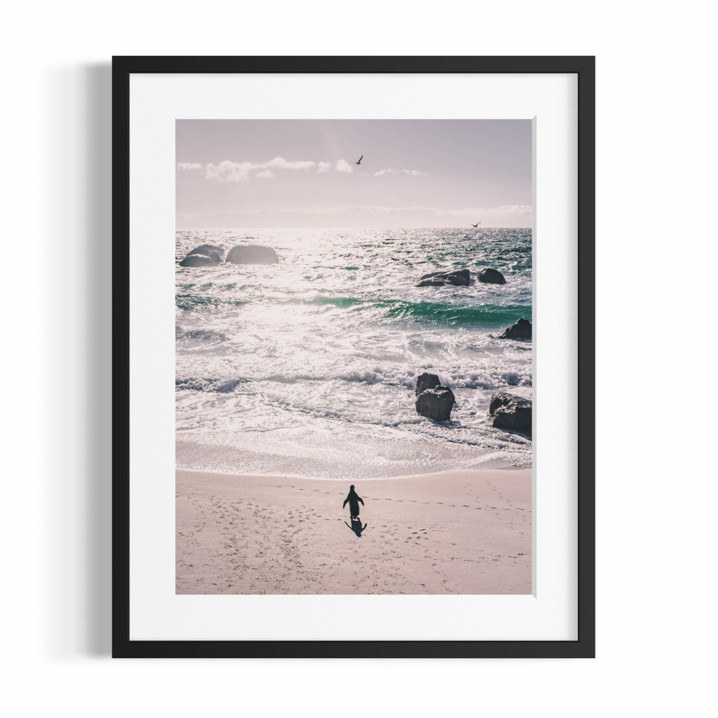 Stampa Fotografica Fine Art - THE LONELY PENGUIN - Edizione Limitata