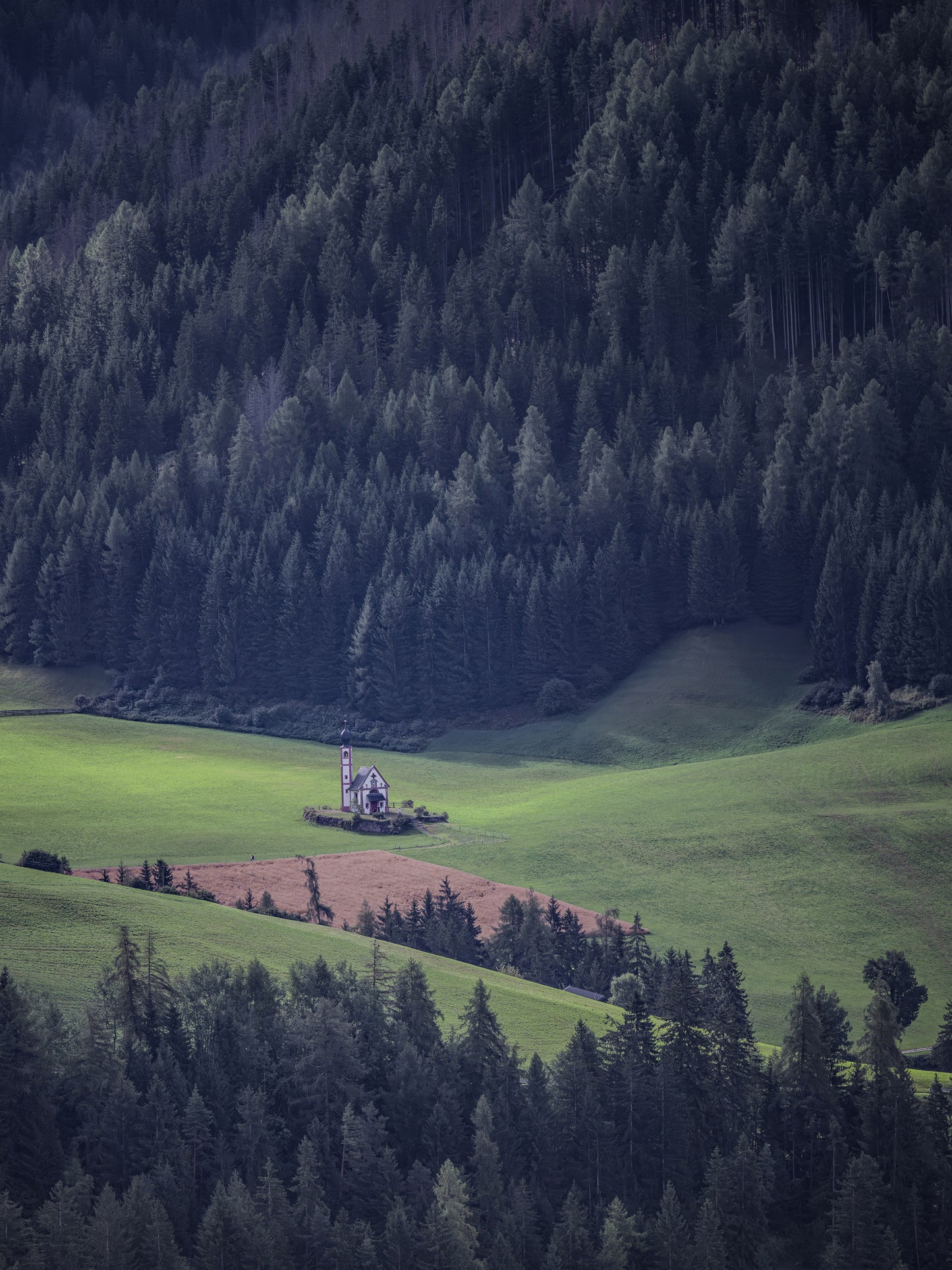 THE LONELY CHURCH