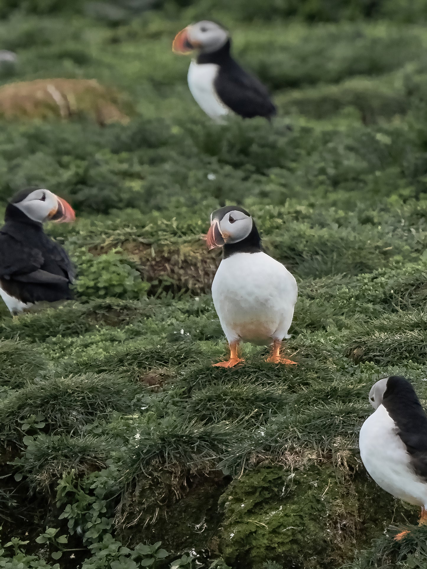 EIN BLICK AUF NATURSCHÖNHEIT