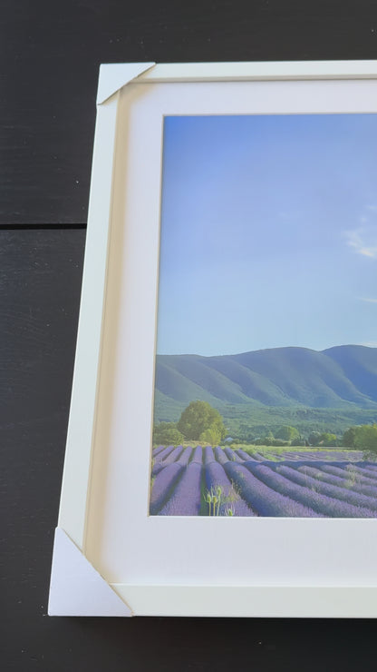 THE COLORS OF PROVENCE