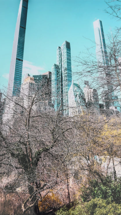 THE JUNGLE IN MANHATTAN