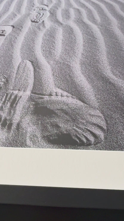 TRACKS ON THE SAHARA